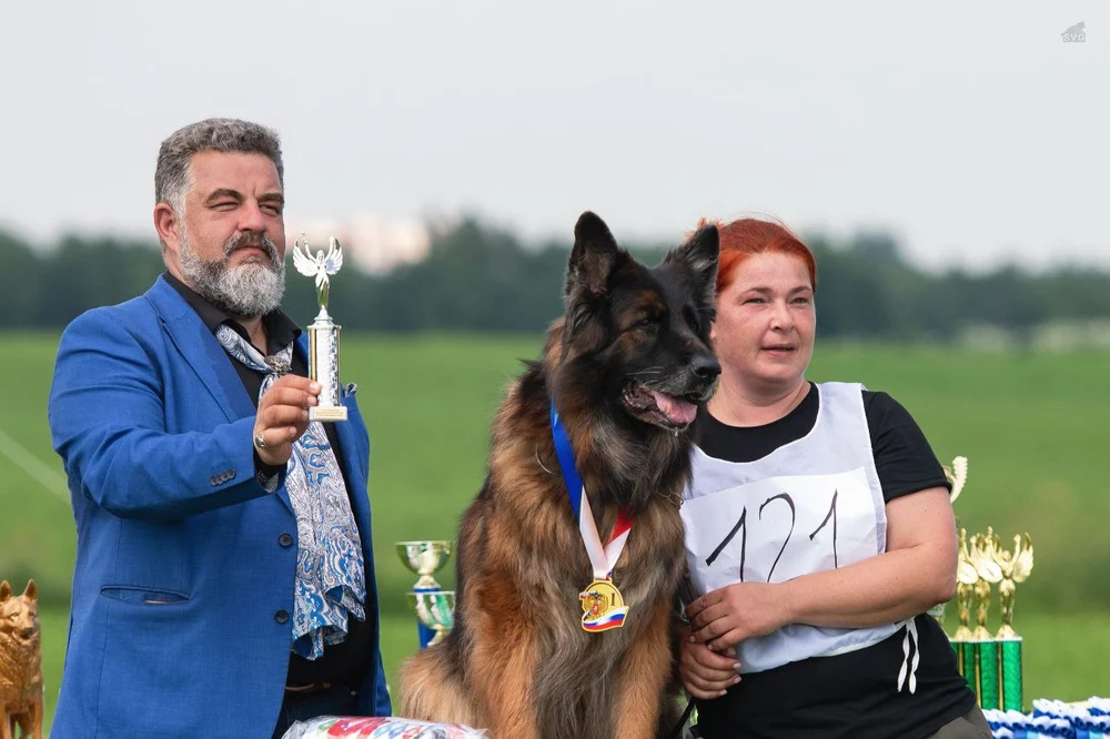 12.07.2025 г. Санкт-Петербург
Монопородная выставка НО "Мелодии белых ночей"
судья Gabriel Stibel (Македония)